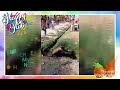 Holi And Daru Funny Video