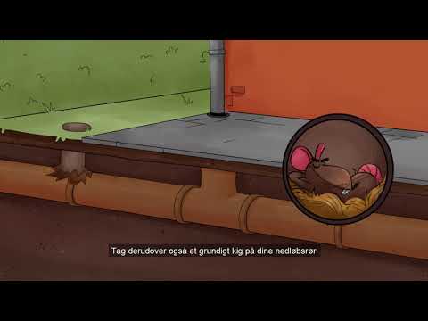 Kloak og nedløbsrør