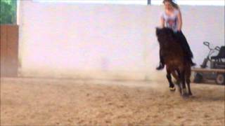 Video von Little Joe