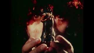 Les Rythmes Digitales-Soft Machine
