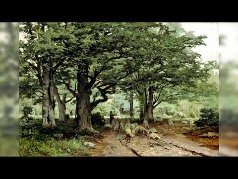 Symphony No.6 in D major - Franz Lachner