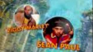 3 Little Birds REMIX By: Sean Paul &amp; Ziggy Marley