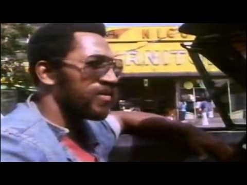 Beat This!: A Hip-Hop History [2 of 6] (The Godfather Kool Herc)