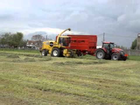 Demarez-Marreel: Gras hakselen.