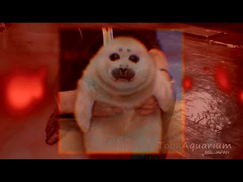 tdstr @ Funny Rave: Rave's Anatomy