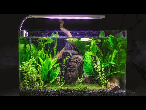 How to make LOST WORLD Aquarium Fish Tank - STEP BY STEP TUTORIAL