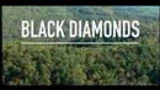 Black Diamonds: Mountaintop Removal & the Fight for Coalfield Justice (2006) Video