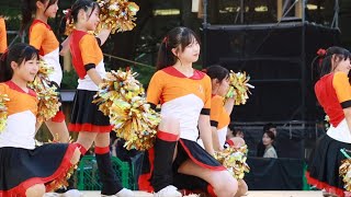47「チアダンス」 可愛い女の子達がが目の前で大胆な演技を見せてくれたよ！