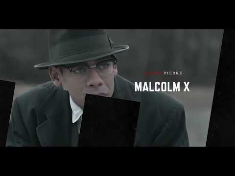 afbeelding Genius: MLK/X