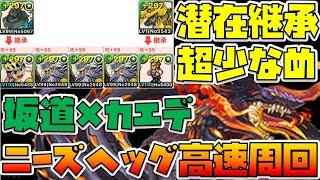 【パズドラ】潜在継承超少なめ！小野田坂道×カエデのニーズヘッグずらし周回【マルチ高速周回編成】