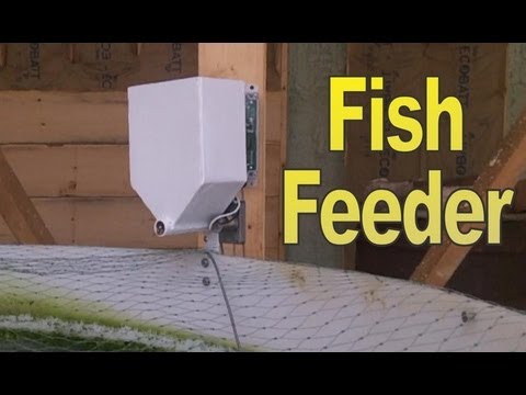 electronic fish feeder