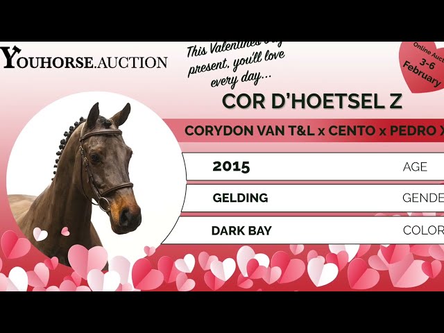 Cor D’Hoestel Z