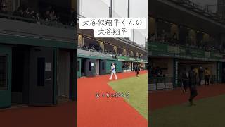 大谷似翔平の大谷翔平！めちゃくちゃ似てる！！！#大谷翔平