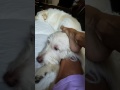 Foot Sharing