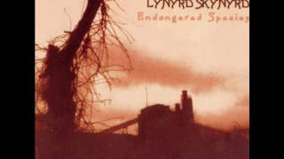 Hillbilly Blues by Lynyrd Skynyrd from their album Endangered Species from 1994.