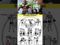 Shoulder Workout At Gym Shoulder Workout With Dumbbells Best Shoulder Workout Shoulder Shorts
