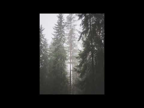 [Free] SKELE X Nothing Nowhere X Shyfox Acoustic Type beat " Dance " - (Prod IntoTheParadox)