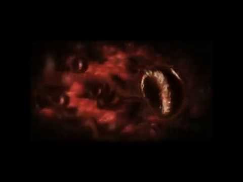 Omega Mutation 3 Video Set) by Cameron Francis & Big Blind Media