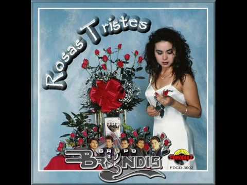Te Fuiste En Navidad Grupo Brindis - Navidad Grupera Vol 2