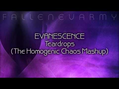 Mashup - Teardrops Life (The Homogenic Chaos Mashup)