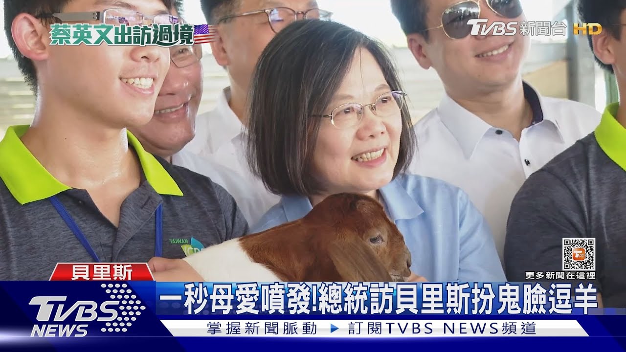 看「貝羊計畫」 總統親餵羊笑喊:還咬我