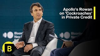 Apollo's Rowan on 'Cockroaches' in Private Credit | New Economy Forum 2025