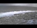 Vlc Record 2011 02 13 12h18m37s Mms Tv Eenet Ee Hyljes Asf