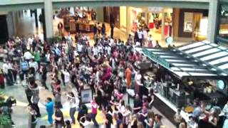 preview picture of video 'Dulles Town Center Zumba Flash Mob'