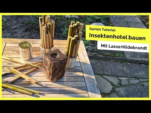 RWH on Stage 🎙 [04] - Das Insektenhotel