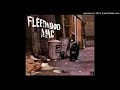 FLEETWOOD MAC - long grey mare