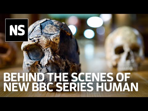 Tracing human evolution: Behind the scenes of new BBC series Human