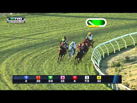 2014 Matriarch Stakes [G1]