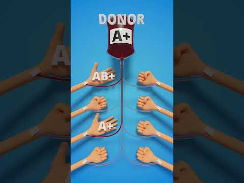 Blood Donor Compatibility #Blood #donor #compatibility #infographic