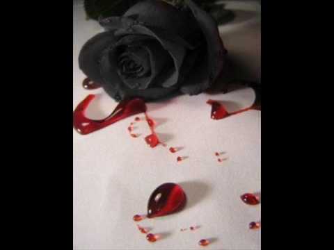 Timm Rabus - Nimm mich zurück