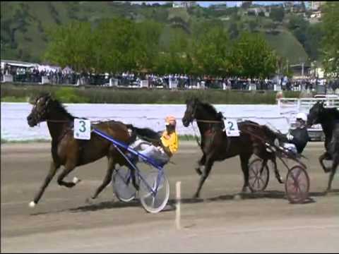 Trotto 03/05/2015 - 4° corsa  3°BATTERIA  66° GP LOTTERIA