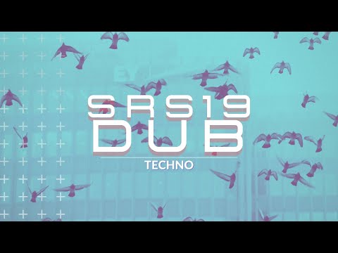 #techno #dubtechno #dubtechnomix #electronica SRS19 Dub Techno (mixed by thief operandi)