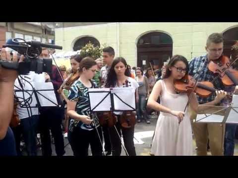 Orchestra Liceului de Arta Oradea - Flash mob de Ziua Europei