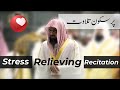Stress Relieving Tilawat Recitation Calm And Beautiful Sheikh Shuraim Light Upon Light