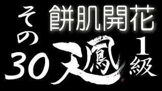 【餅肌開花】オンライン対戦麻雀 天鳳 実況プレイ その30【1級】