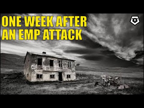 One Week After an EMP Attack