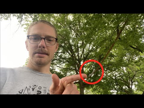 WORLD'S NARROWEST BRIDGE Ep. 1 - Longview, WA