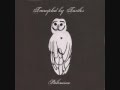 Trampled By Turtles - Again