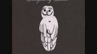 Trampled By Turtles - Again