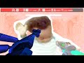 ULTRAKILL Every Boss Parry Only