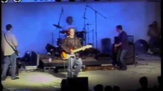 The Waiting - Never Dim (live)