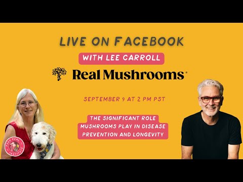 Medicinal Mushrooms for Dogs: Immunity, Gut Health & Longevity Explained | Lee Carroll