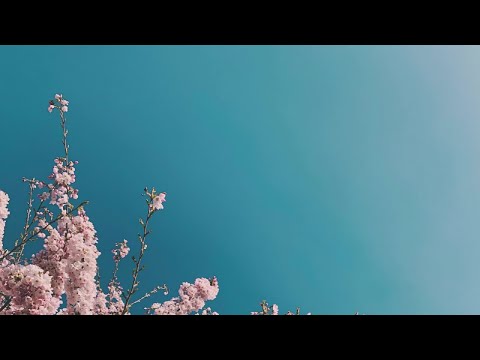 Solarium ~ A Playlist For Plants, By Teen Daze