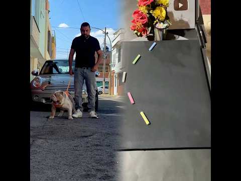 Phillies land All-Star closer Jhoan Duran ahead of MLB trade deadline 👀🔥 #jhoanduran