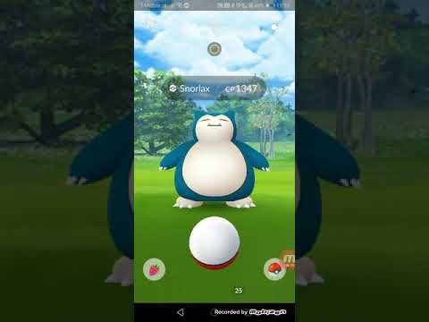 Maksowanie groundona 7 stempel i shiny ewolucję