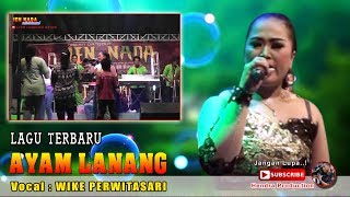 Download lagu Ayam Lanang Wike mp3 Download lagu Ayam Lanang Wike mp3